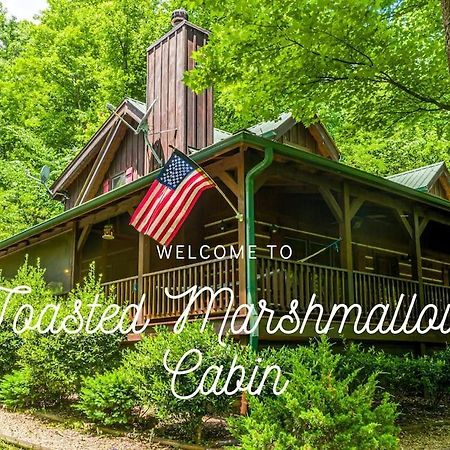 Pigeonforge Cabin Game Roomdog Friendlyhot Tub Pigeon Forge Buitenkant foto
