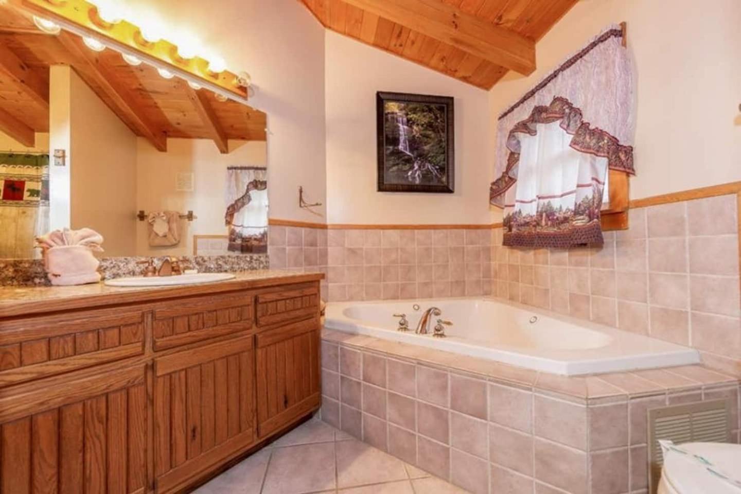 Pigeonforge Cabin Game Roomdog Friendlyhot Tub Pigeon Forge Buitenkant foto